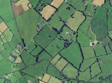 Small aerial image