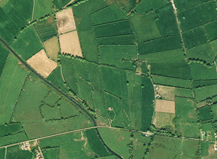 Small aerial image