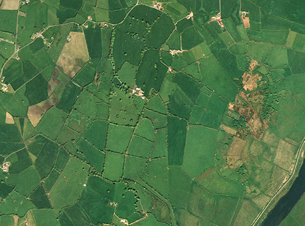 Small aerial image