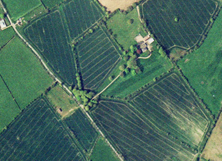 Small aerial image