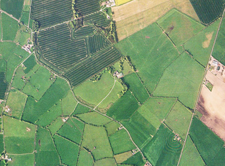 Small aerial image