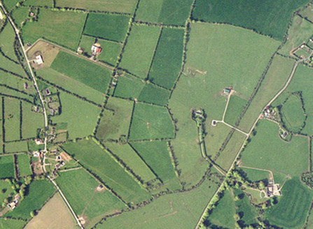 Small aerial image
