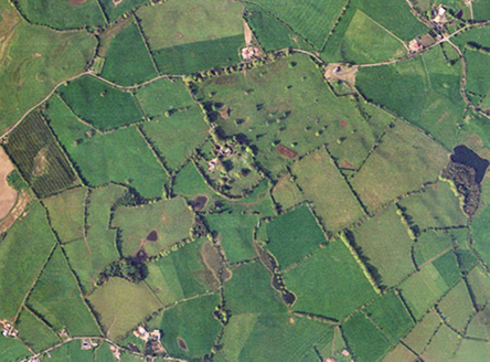 Small aerial image