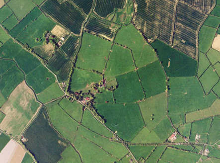Small aerial image