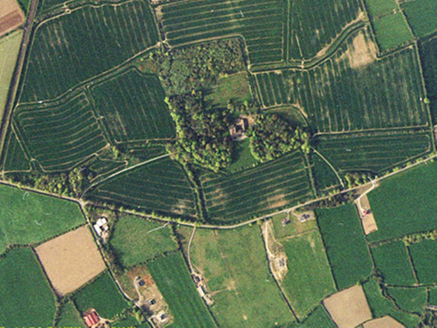 Small aerial image