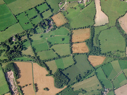 Small aerial image