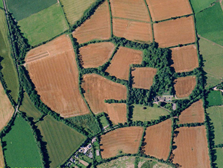 Small aerial image