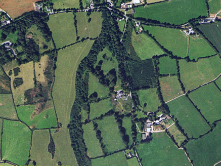 Small aerial image