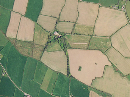 Small aerial image