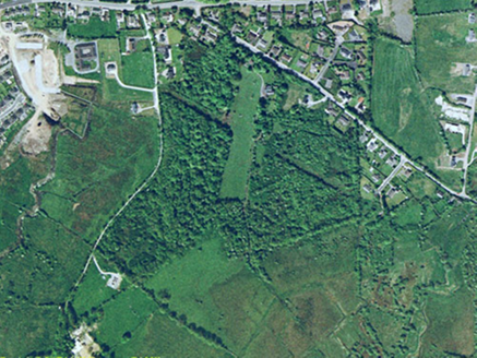 Small aerial image