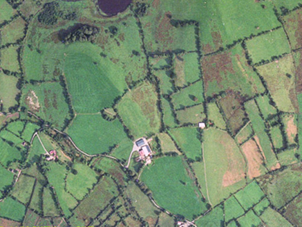 Small aerial image