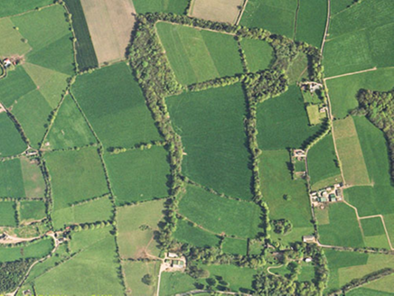 Small aerial image