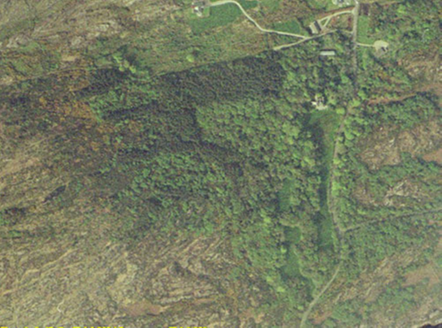 Small aerial image