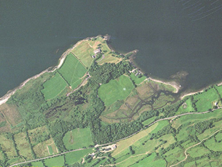 Small aerial image