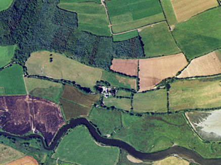 Small aerial image