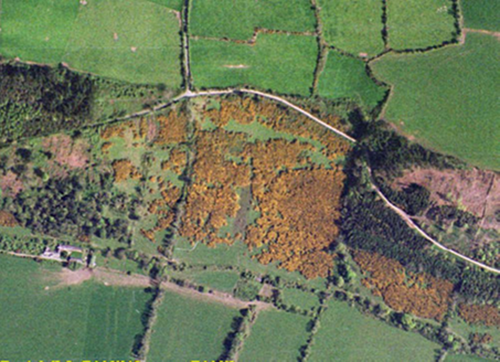 Small aerial image