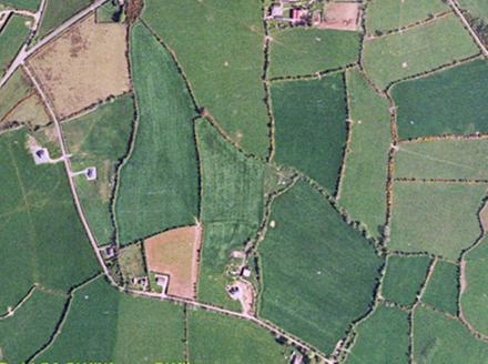 Small aerial image
