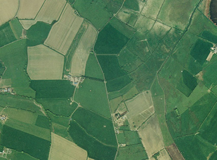 Small aerial image
