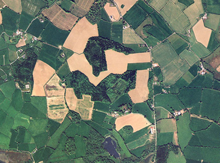 Small aerial image