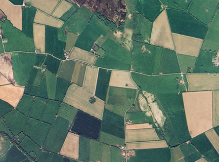 Small aerial image