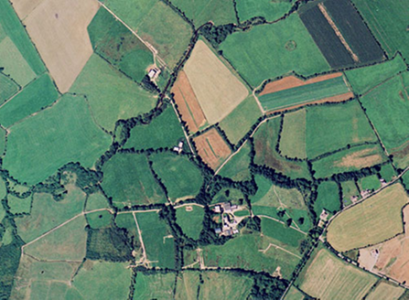 Small aerial image