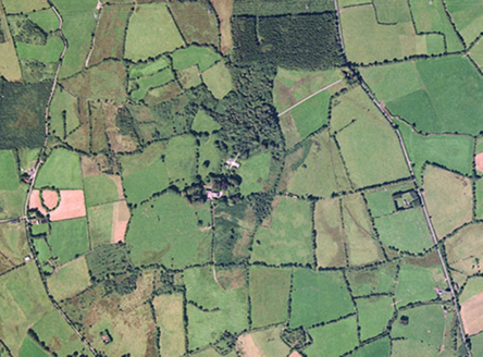 Small aerial image