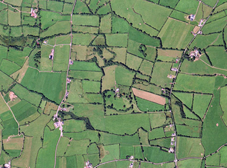 Small aerial image