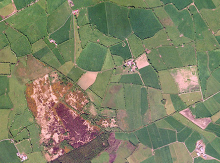 Small aerial image