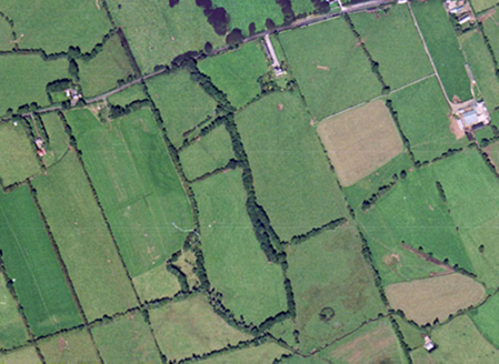 Small aerial image