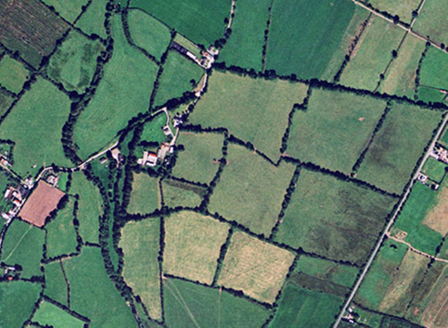 Small aerial image