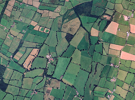 Small aerial image