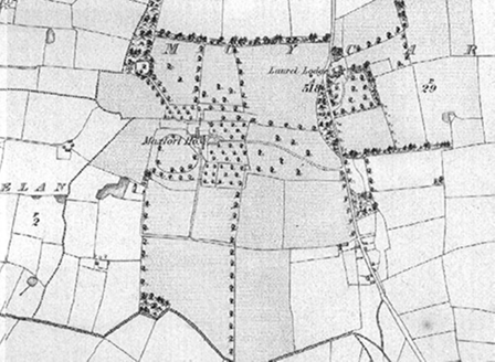 Small map image