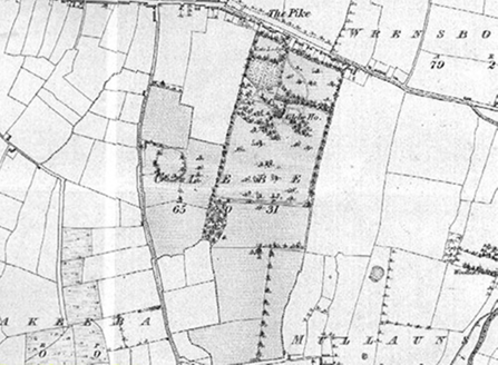 Small map image