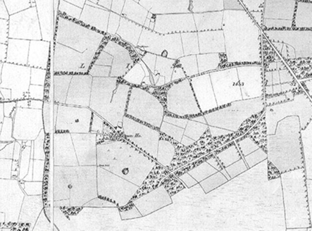 Small map image