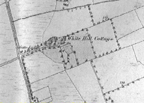 Small map image