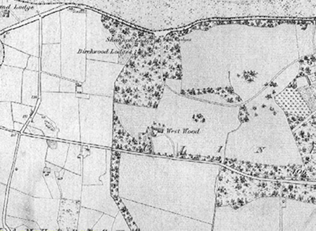 Small map image