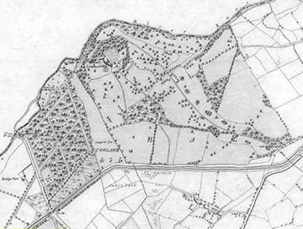 Small map image
