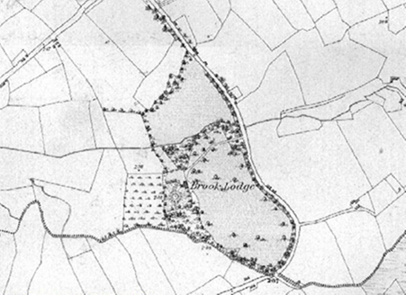 Small map image