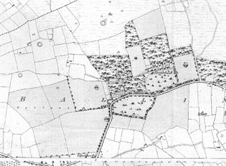 Small map image