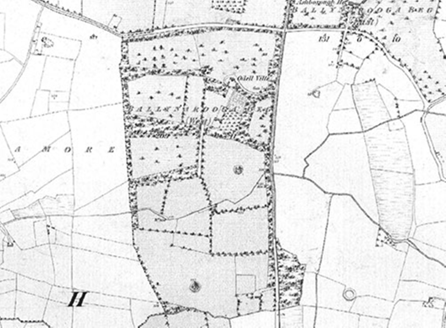 Small map image