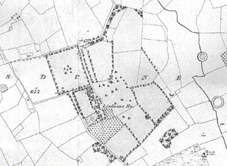 Small map image