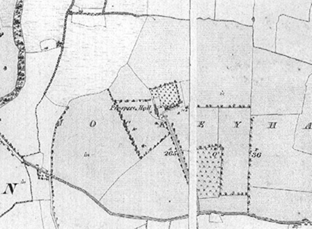 Small map image