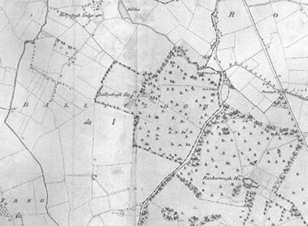 Small map image