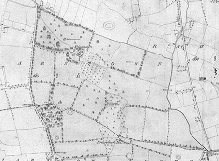 Small map image