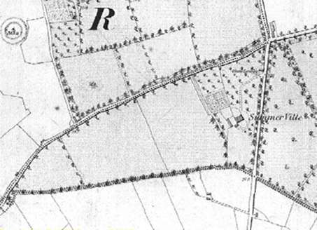 Small map image
