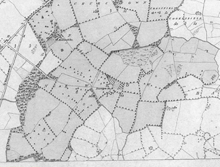 Small map image
