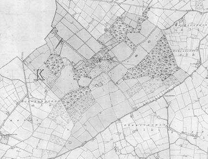 Small map image