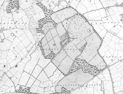 Small map image