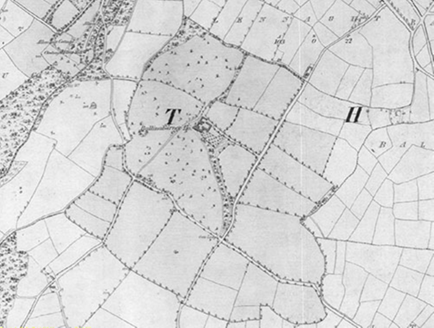 Small map image
