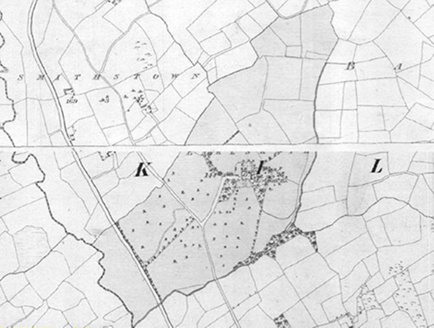 Small map image